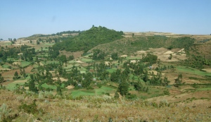 A patchwork of fields in Amhara region, Ethiopia